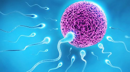 Fistula Treatment in Nagpur